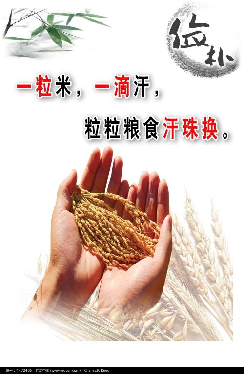 毕业证学位证丢了影响找工作吗